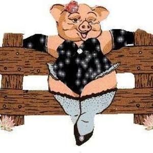 Meet your Posher, Patricia